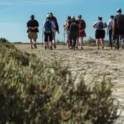 Découverte de la Tour du Valat