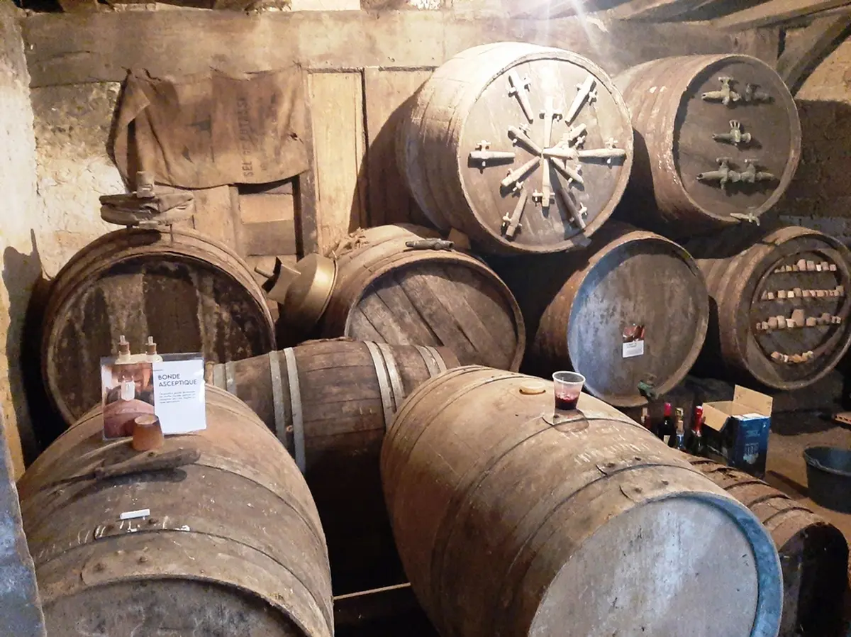 Découverte de la vigne et de ses outils d'antan