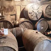 Découverte de la vigne et de ses outils d'antan