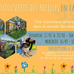 Découverte des abeilles en famille