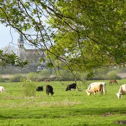 Découverte des Barthes de l'Adour