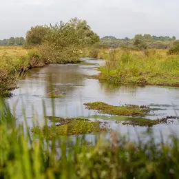Découverte des Barthes de l'Adour