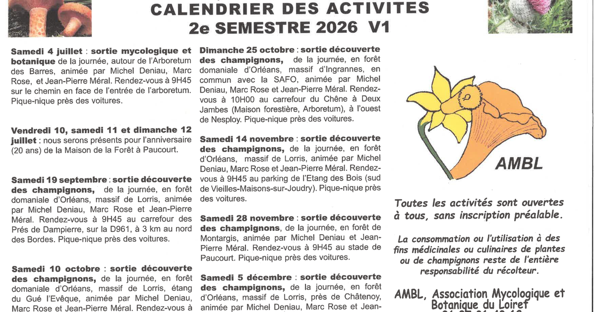 Découverte des champignons