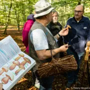 Découverte des champignons en forêt de Cerisy