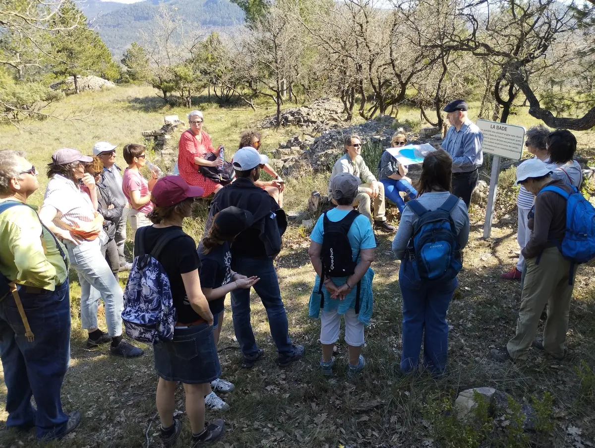 Découverte Des Oiseaux Et De La Flore Sur Le Sentier Botanique De Soubès