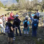Découverte Des Oiseaux Et De La Flore Sur Le Sentier Botanique De Soubès