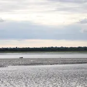 Découverte des oiseaux et des phoques de la baie des Veys