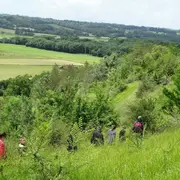 Découverte des Orchidées des coteaux du Moulin
