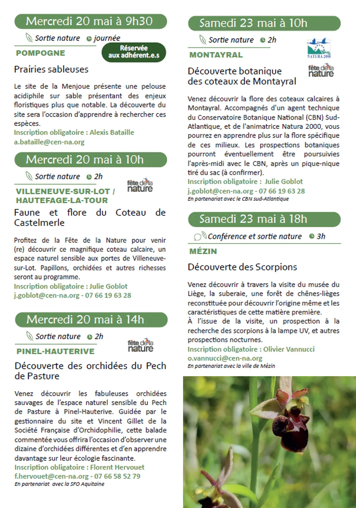 Découverte des orchidées du Pech de Pasture