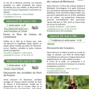 Découverte des orchidées du Pech de Pasture