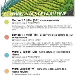 Découverte des papillons de jour et des libellules