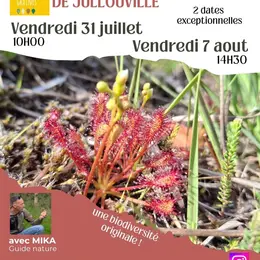 Découverte des plantes carnivores et de la Tourbière de Jullouville