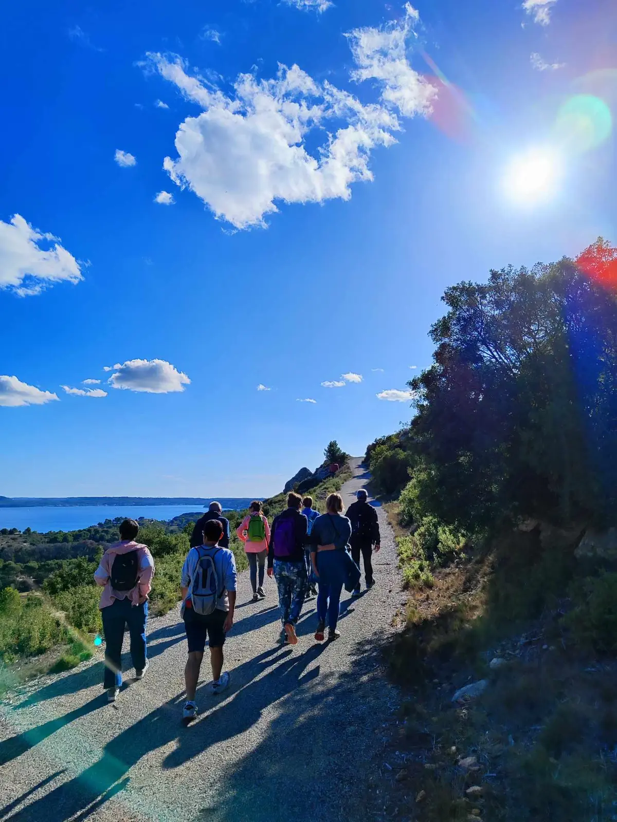 Découverte des plantes comestibles et médicinales sur la colline st-Étienne