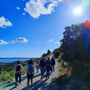 Découverte des plantes comestibles et médicinales sur la colline st-Étienne