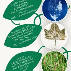 Découverte des plantes sauvages