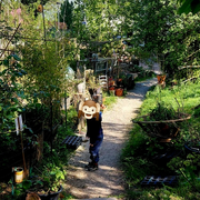Découverte des plantes sauvages à la Gare eXPérimentale