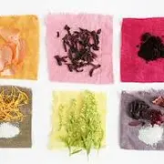Découverte des plantes tinctoriales