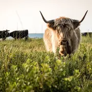Découverte des prairies au bord du lac de Sanguinet