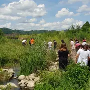 Découverte des relations plantes - insectes, à la réserve départementale de biodiversité d'Argentat