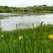 Découverte des réserves : Errota Handia