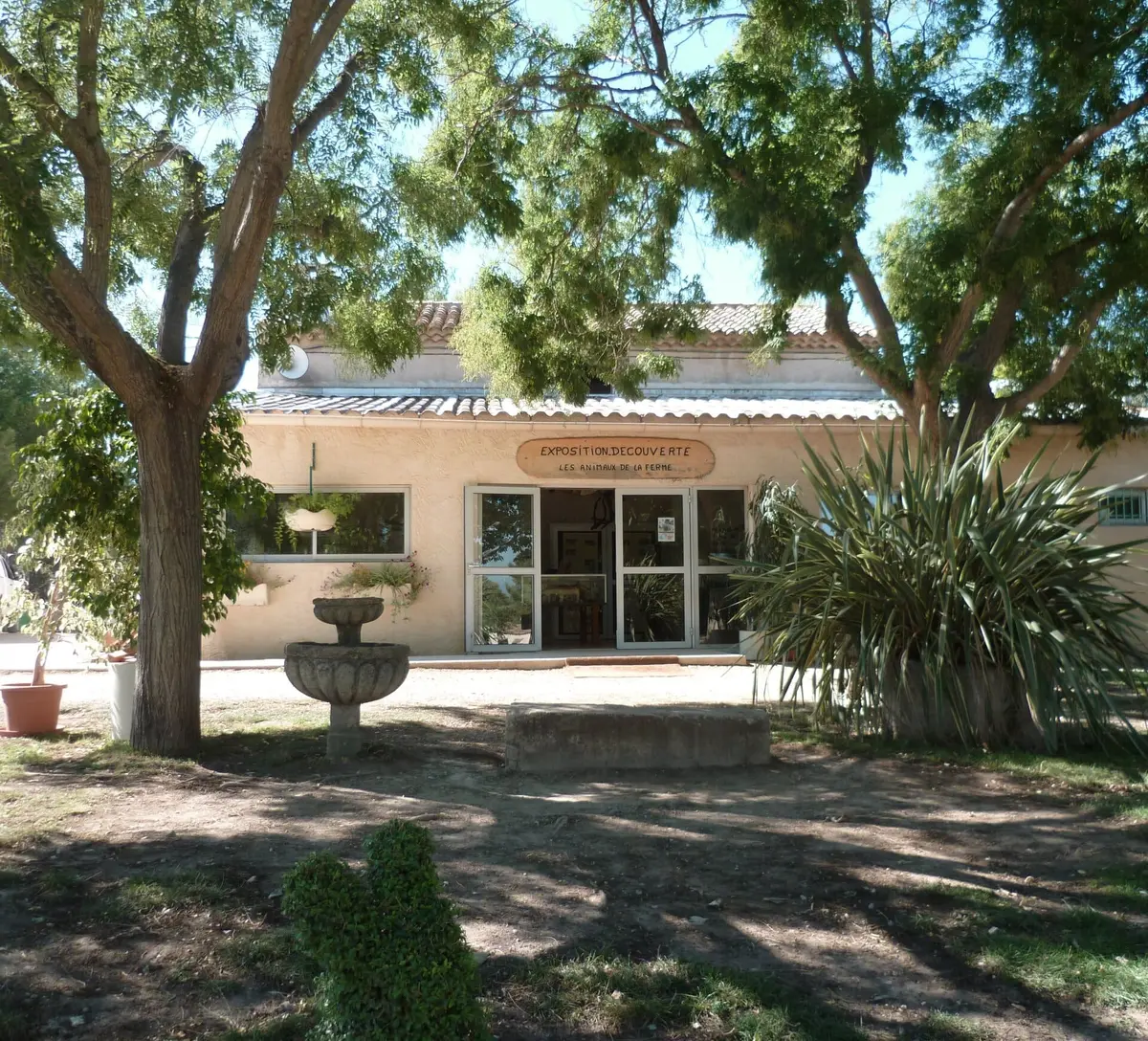 Découverte des rongeurs de la ferme pédagogique