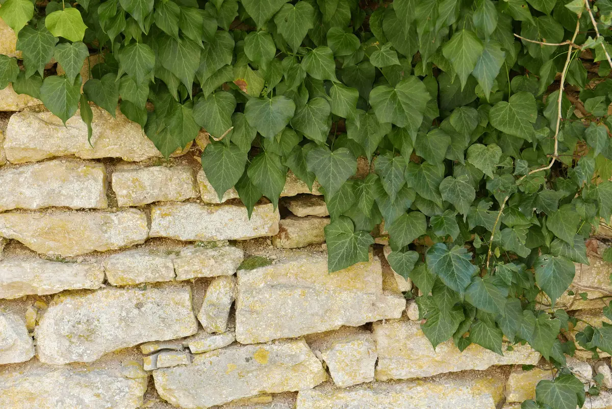 Découverte des tourbières