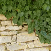 Découverte des tourbières