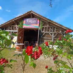 Découverte des vins landais