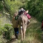 Découverte du bocage avec un âne du Cotentin