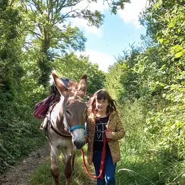 Découverte du bocage avec un âne du Cotentin
