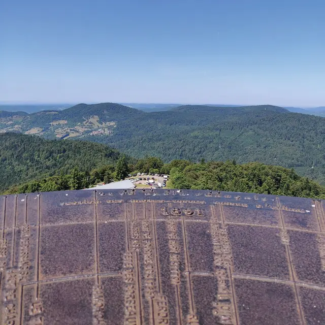 Découverte du Drumont