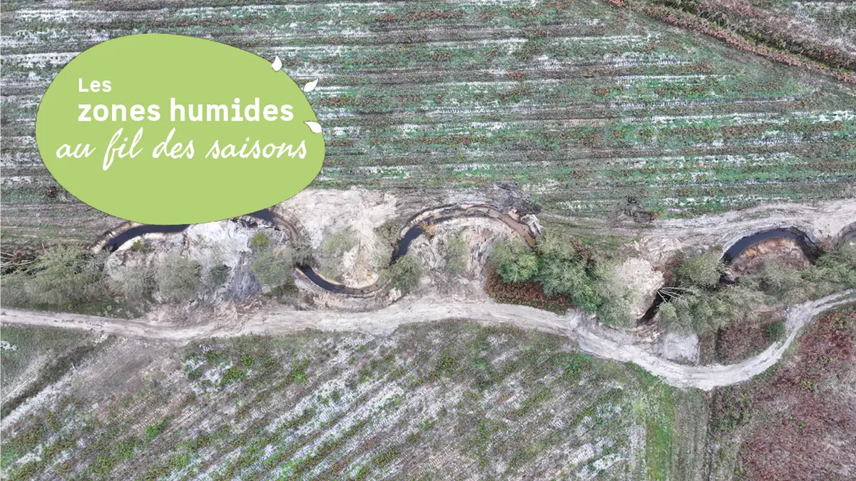 Découverte du fonctionnement des cours d’eau et crastes et de travaux de méandrage
