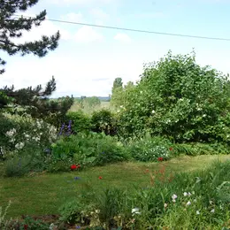 Découverte du jardin fleuri de Marie Ange Rumeau