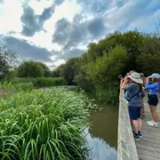 Découverte du Marais d'Orx