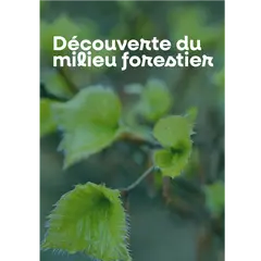 Découverte du milieu forestier