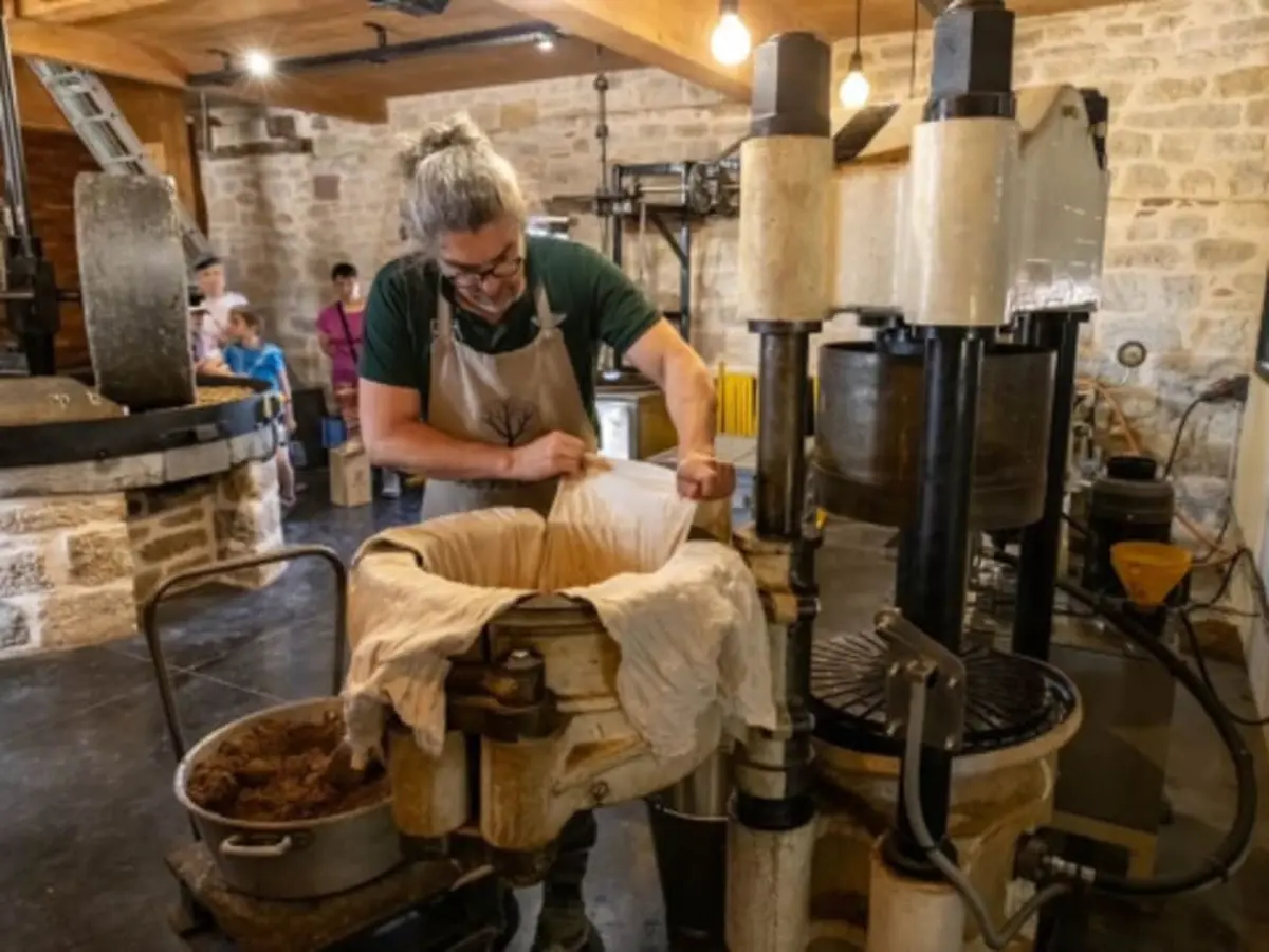 Découverte du moulin à huile de noix de Ligneyrac (19)