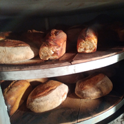 Découverte du pain au levain 