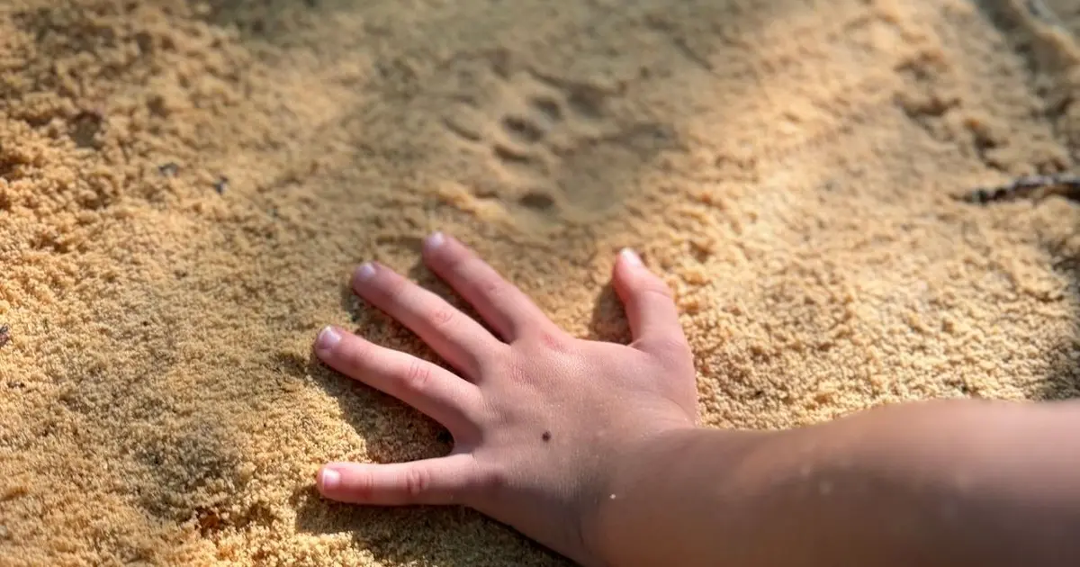 Découverte du pistage animalier