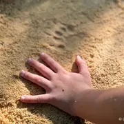 Découverte du pistage animalier