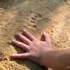 Découverte du pistage animalier