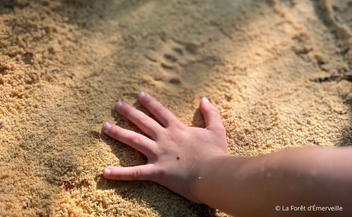 Découverte du pistage animalier