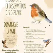 Découverte et observation des oiseaux