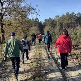 Découverte gratuite de la Marche Nordique