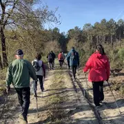 Découverte gratuite de la marche nordique