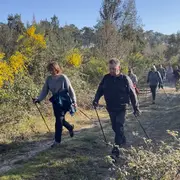 Découverte gratuite de la marche nordique