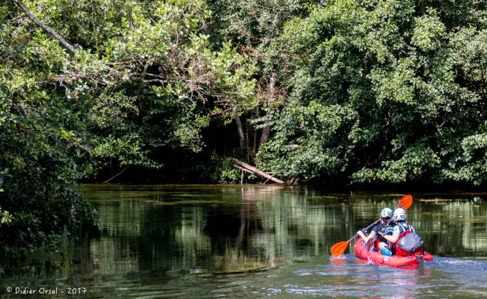 Découverte naturaliste de l'Huisne en canoë à la demi-journée