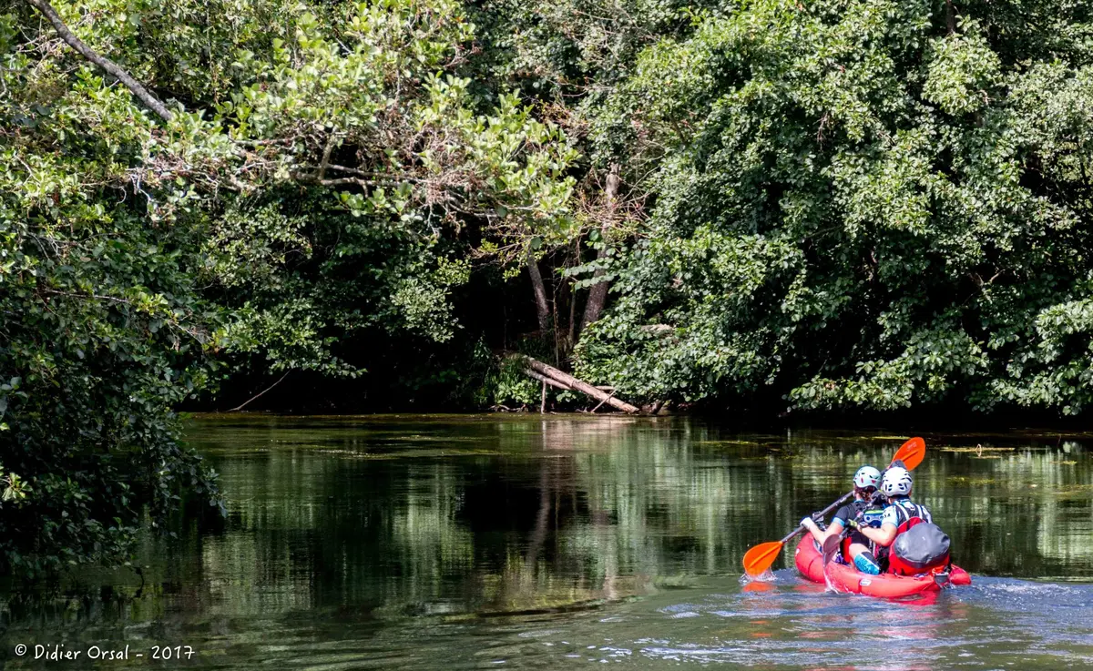 Découverte naturaliste de l'Huisne en canoë à la journée