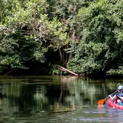 Découverte naturaliste de l'Huisne en canoë à la journée