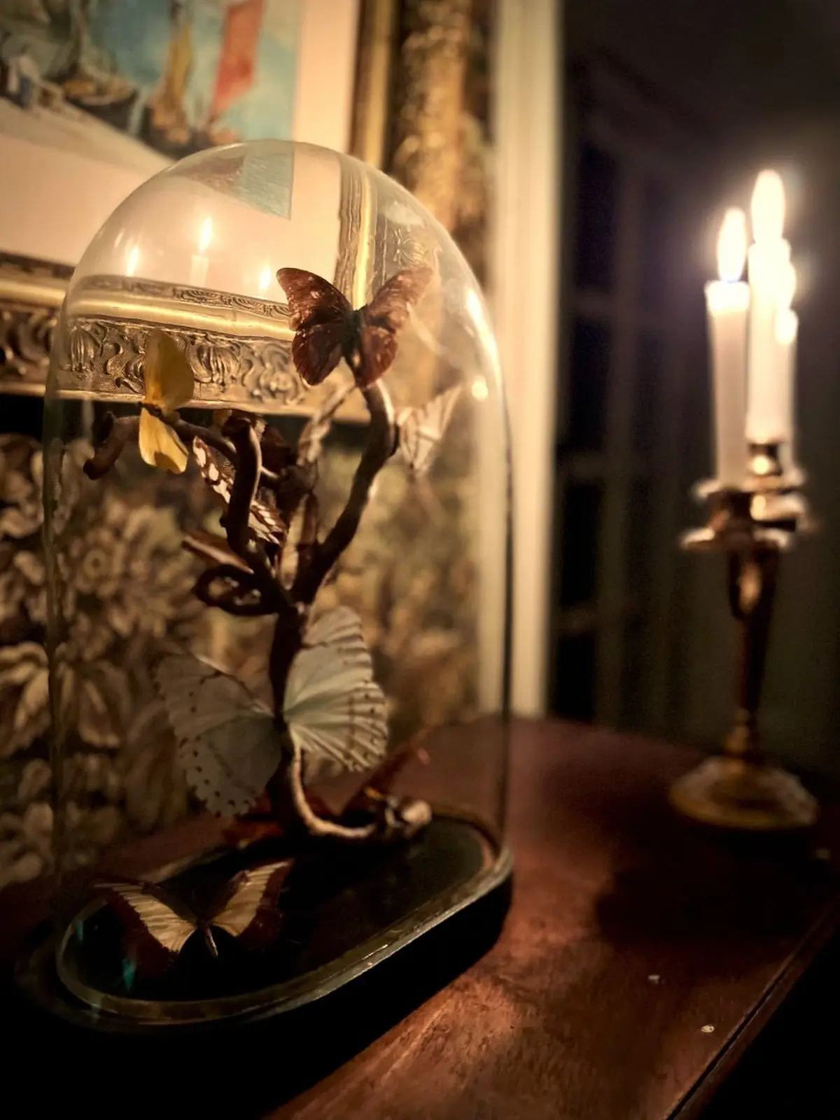 Découverte nocturne du château de Carneville