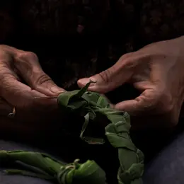 Découverte plantes sauvages pour la vannerie